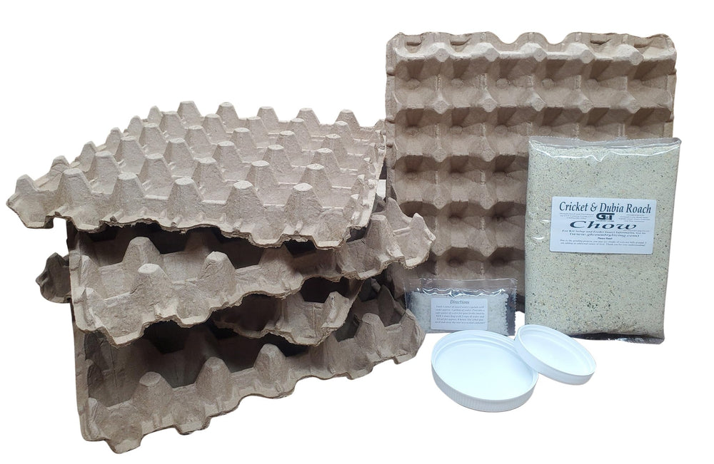 G&T Country Living Dubia roach breeding kit tub setup enables ready feeder colonies.