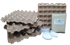 G&T Country Living Dubia roach breeding kit tub setup enables ready feeder colonies.