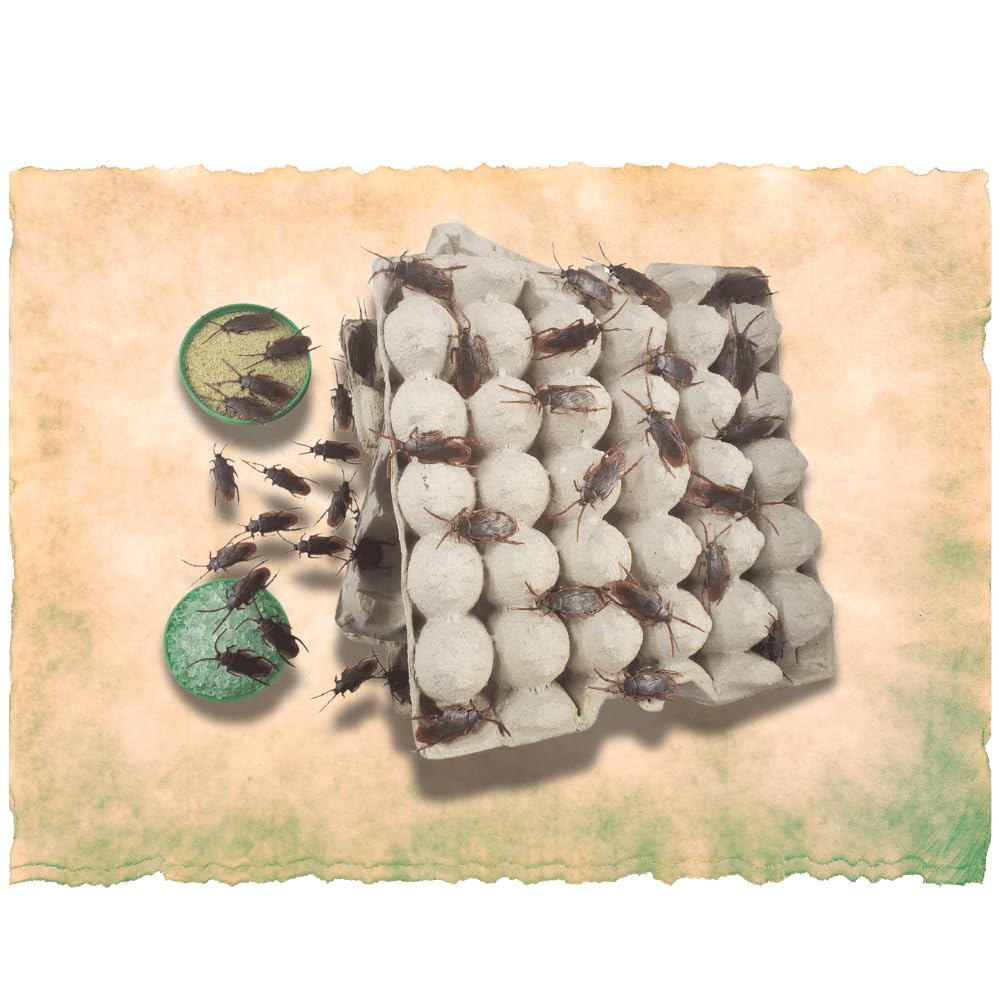 G&T Country Living water crystals provide hydration for stable colony health.