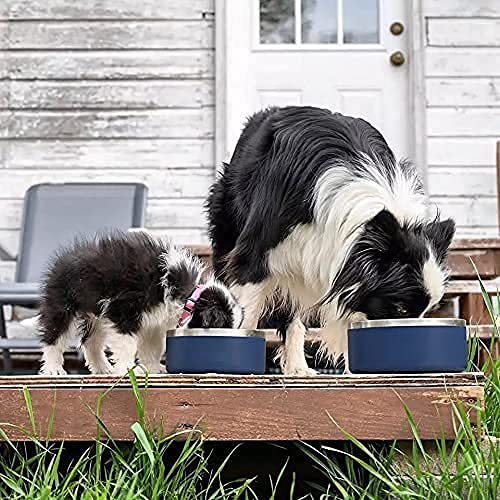 Gteller silver double-wall bowl ideal for versatile pet feeding.