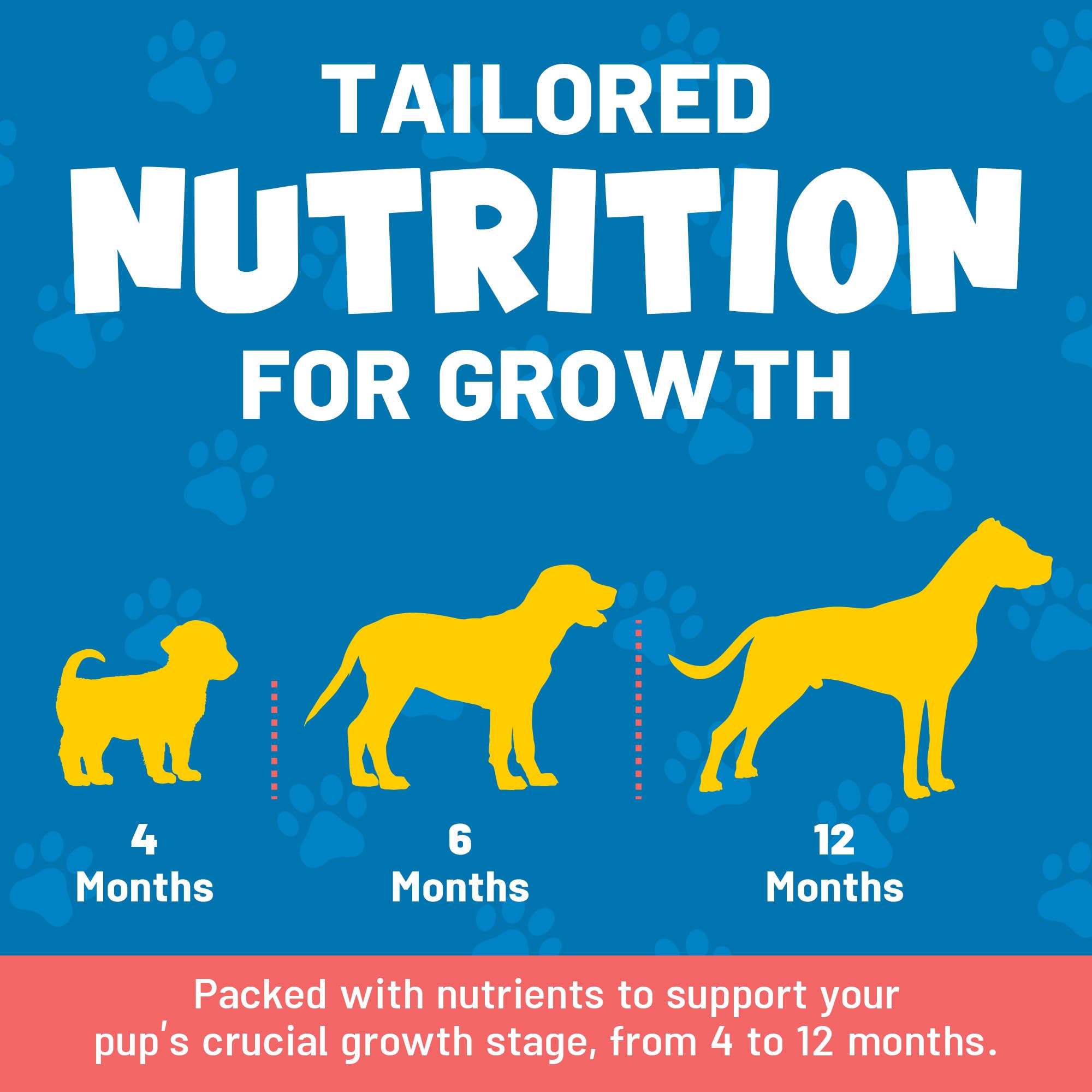 Guardian's Choice VitaPup soft chews texture for easy chewing.