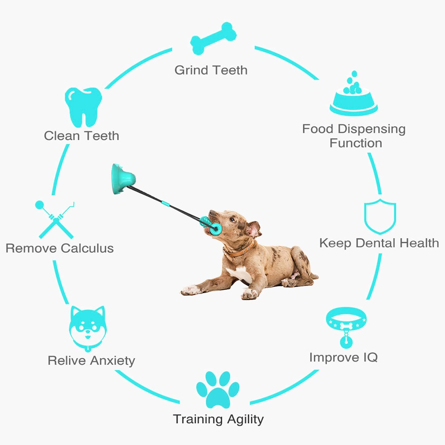 Guardians dog chew toy blue dental-edges supports molar cleaning while chewing