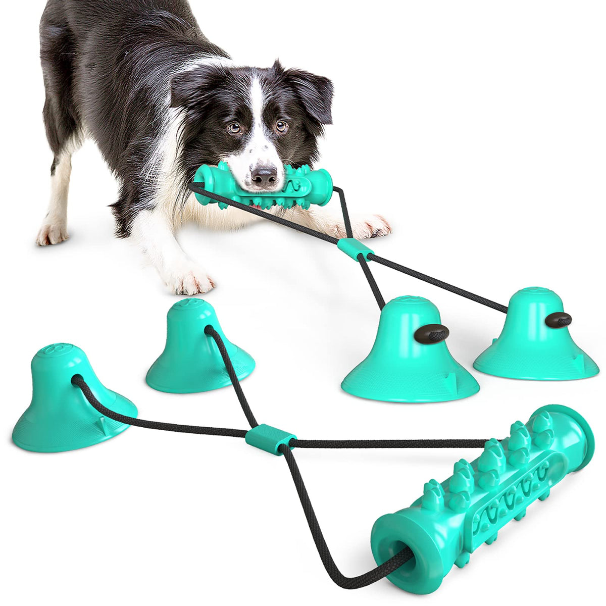 Guardians dog chew toy blue front view promotes dental health during playtime