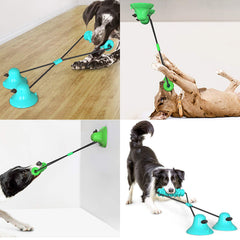 Guardians dog chew toy blue suction cup in use helps fixed play and training