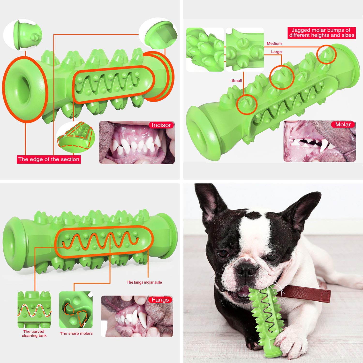 Guardians dog toothbrush toy interactive play design helps relieve boredom indoors