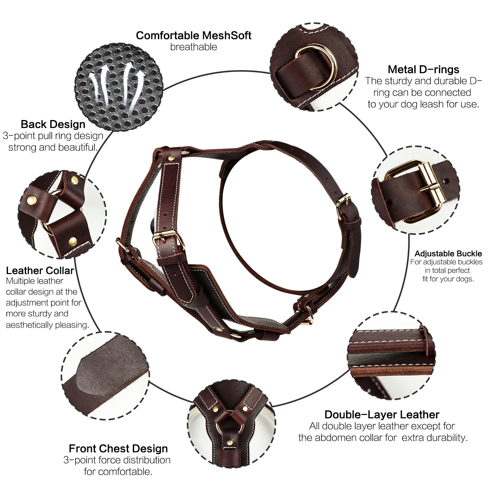 Guiding Star harness hardware detail highlights sturdy rings and screws for daily use