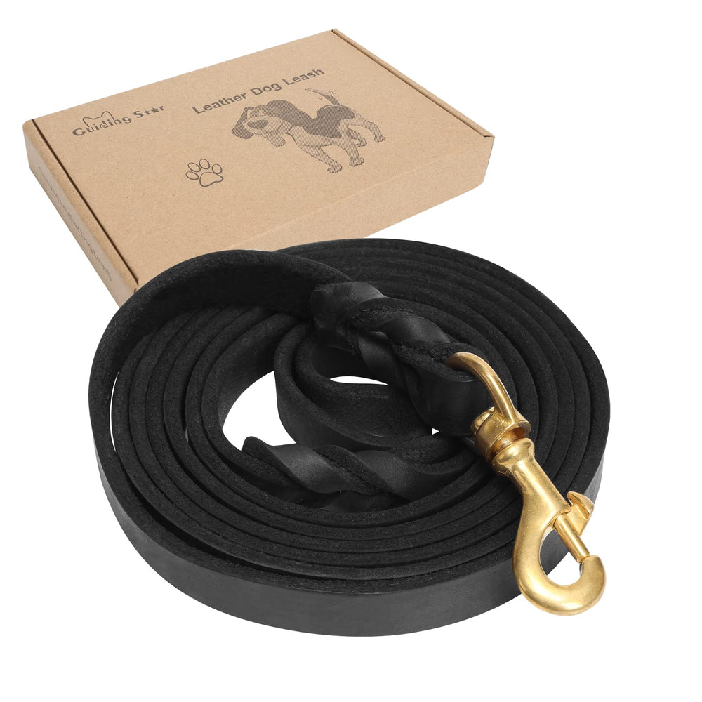Guiding Star Leather Dog Leash shows soft braided leather handle for comfortable daily walks.