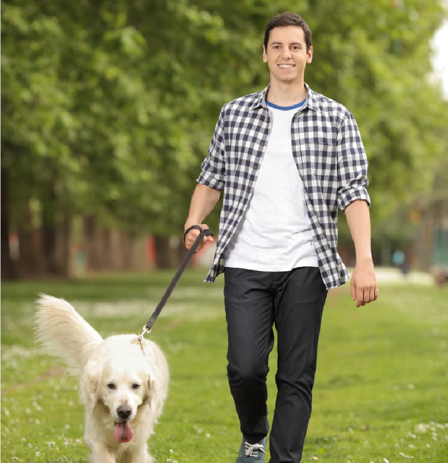 Guiding Star leash training-dogs-use ideal for training sessions across breeds.