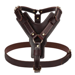 Guiding Star leather dog harness closeup texture shows durable grain and comfort
