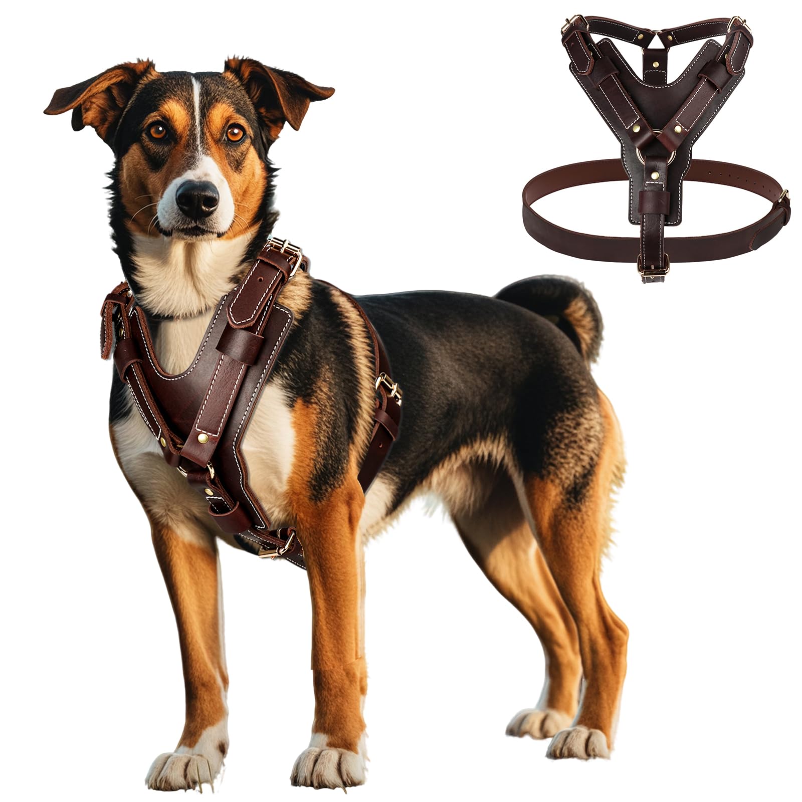 Guiding Star leather harness with adjustable straps for a secure large-dog fit