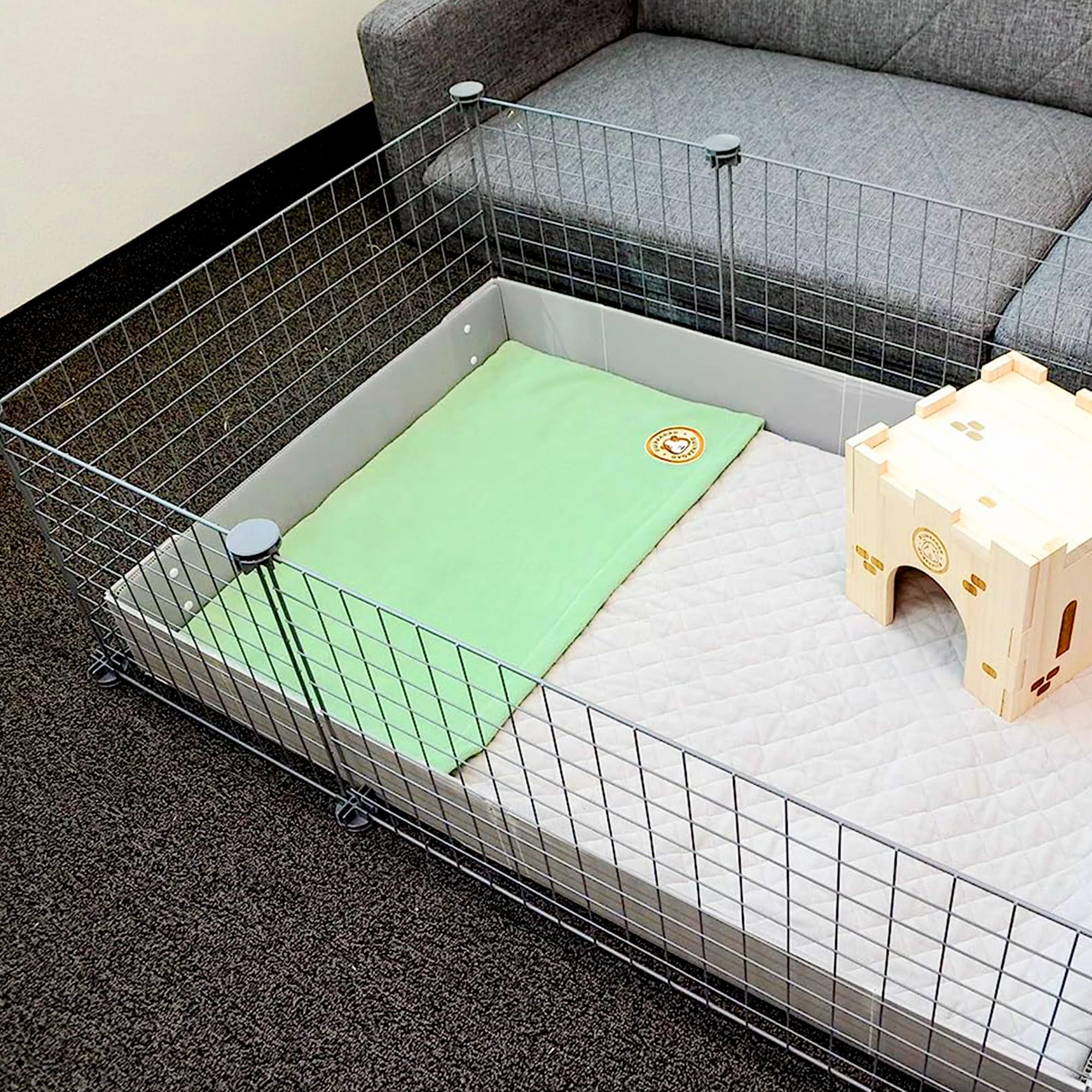 GuineaDad crunchy condo packaging invites burrowing and play.