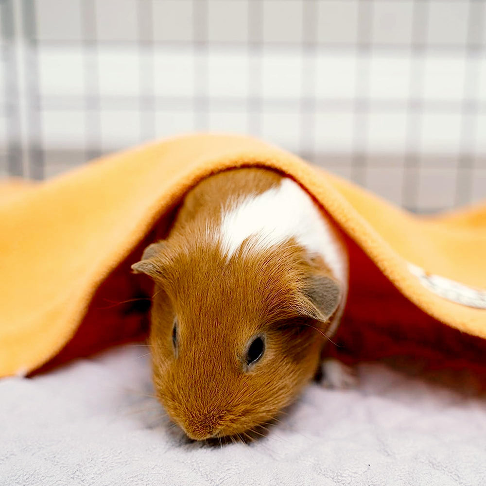 GuineaDad Liner—burrowing pocket sleeve adds enrichment and private space