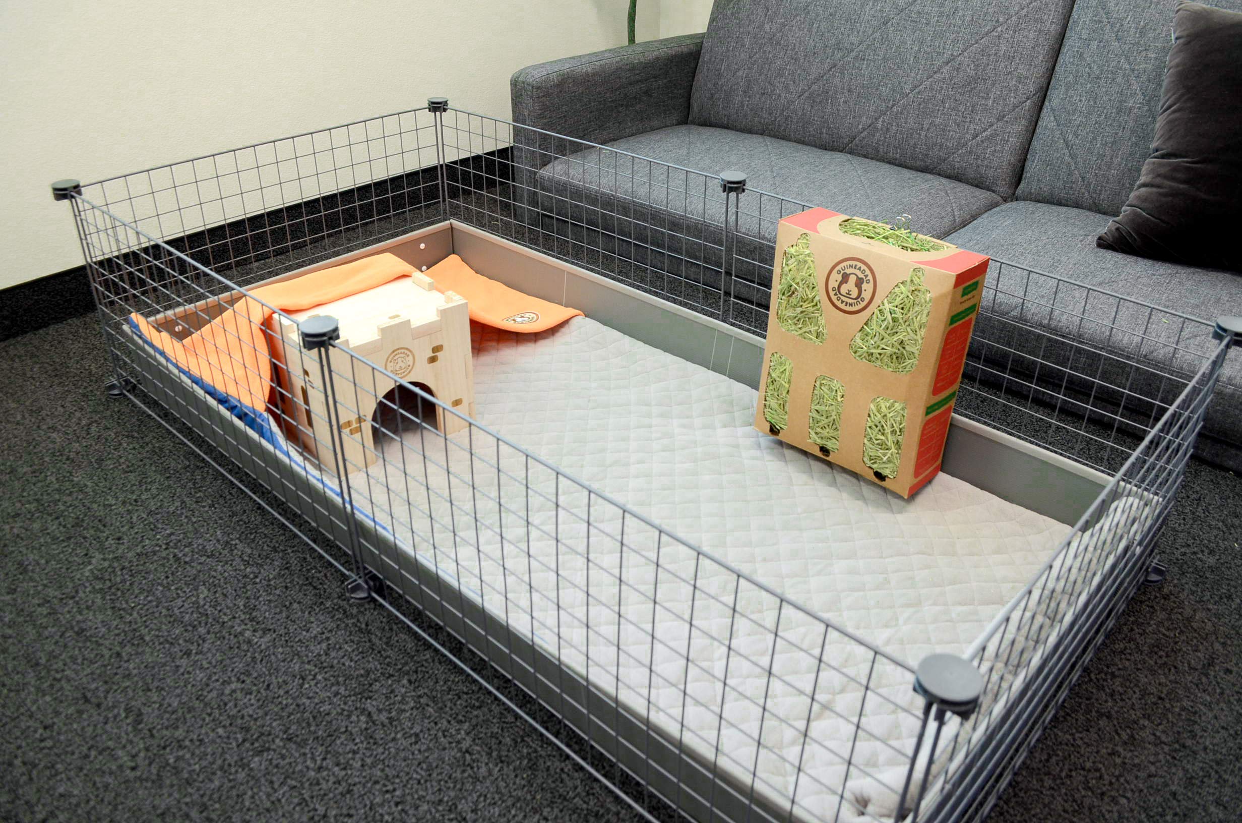 GuineaDad Liner Crunchy Condo packaging orange doubles as a hidey.