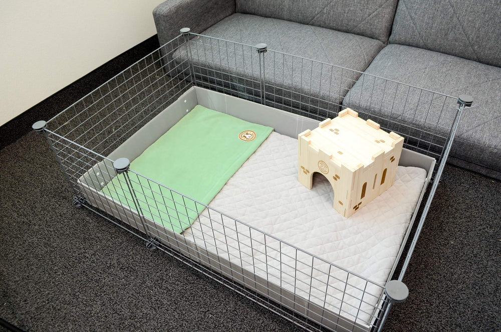 GuineaDad Liner's extra length guards against pee and wall spray.