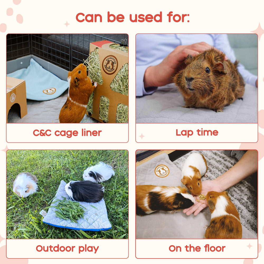 GuineaDad Original Liner in a carrier for clean, travel ready comfort.
