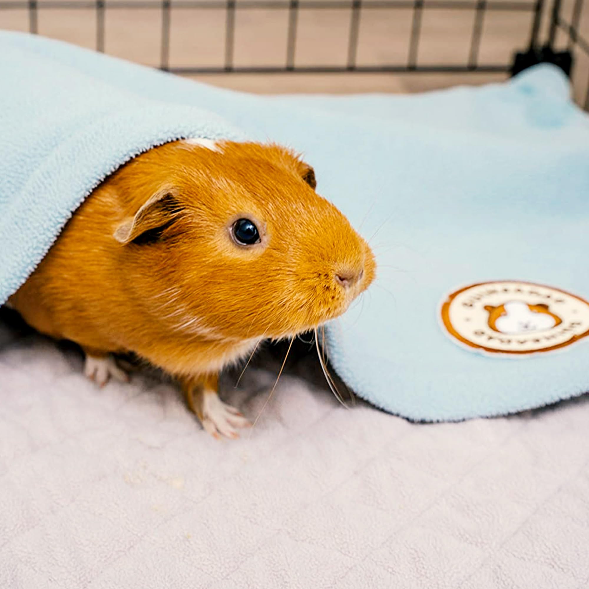 GuineaDad Original multi-use liner doubles as a carrier mat for travel