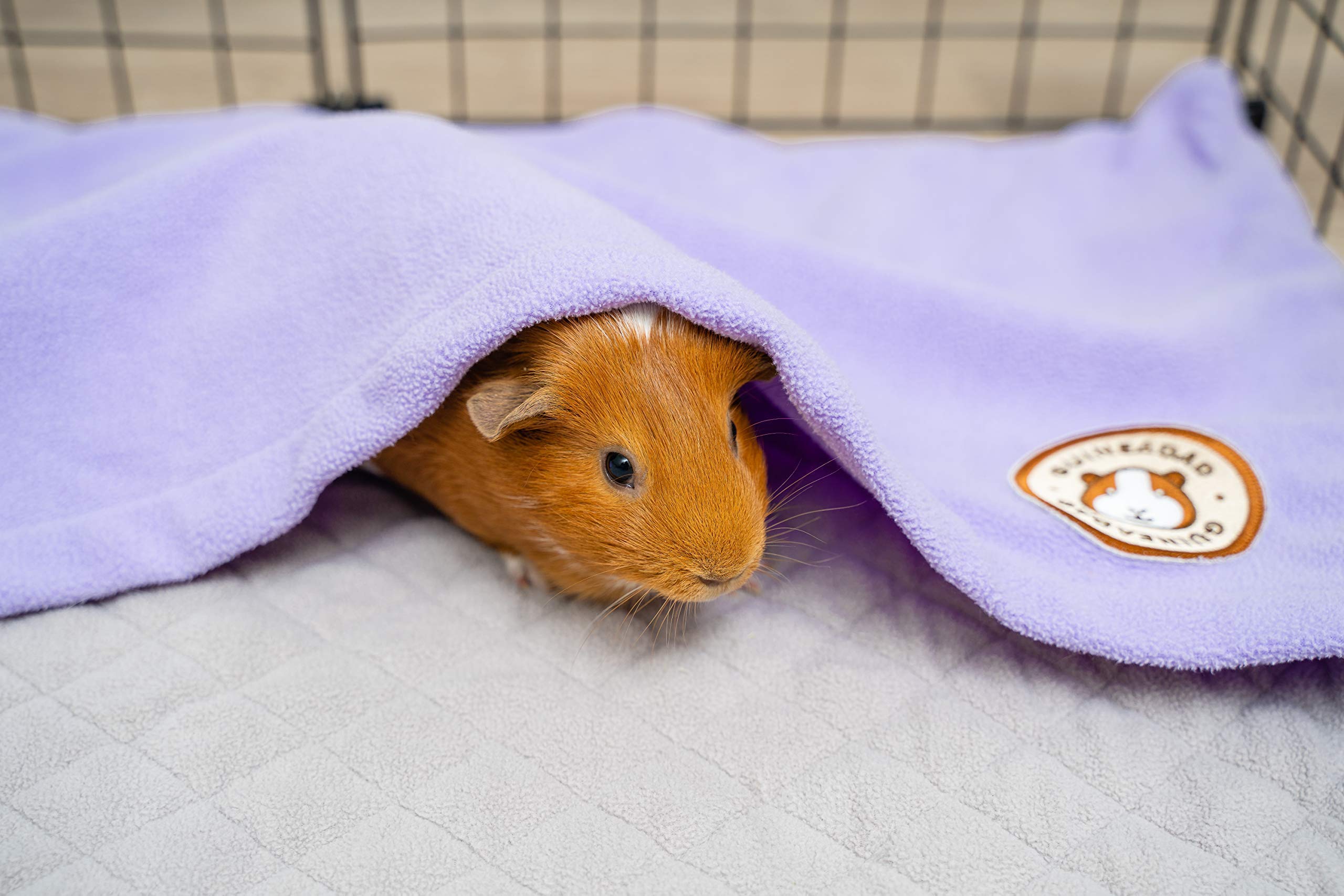 GuineaDad liner suited for carriers and car rides for clean, calm transport