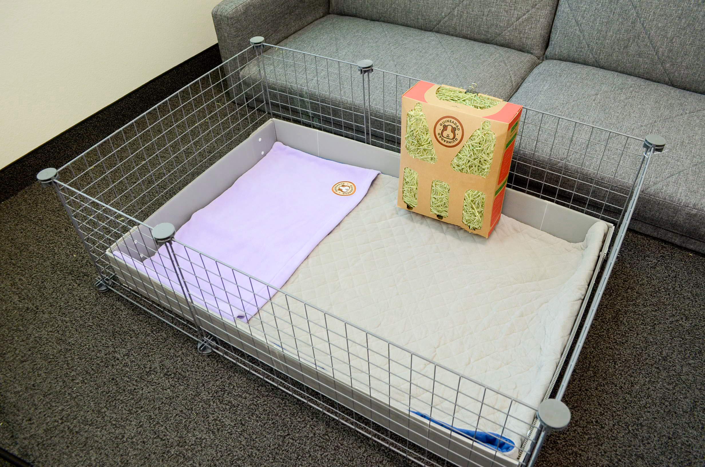 GuineaDad crunchy condo packaging invites burrowing, chewing, and play while staying pet-safe.