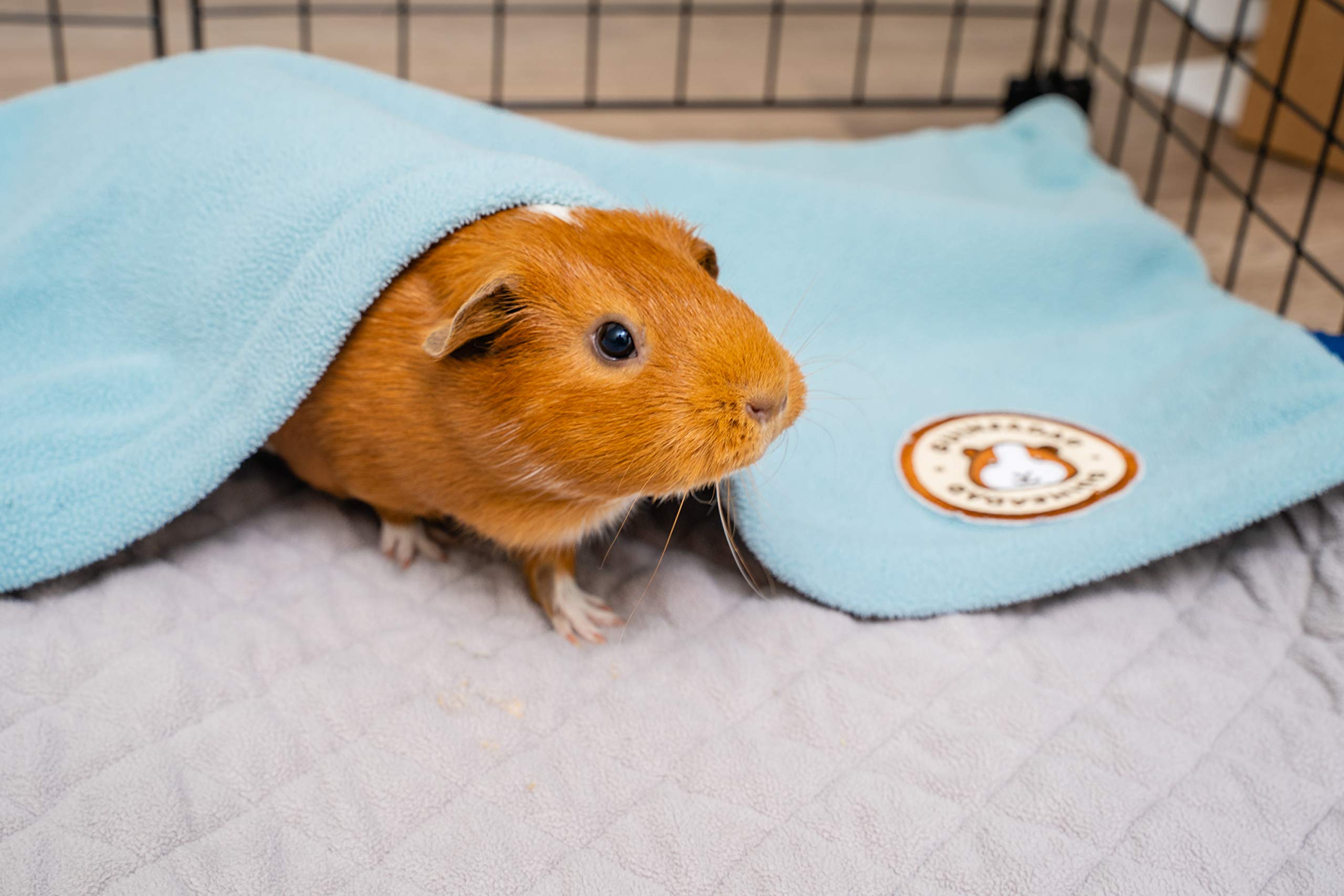 GuineaDad liner fits 2x3 cages—snug bedding solution for guinea pig cages