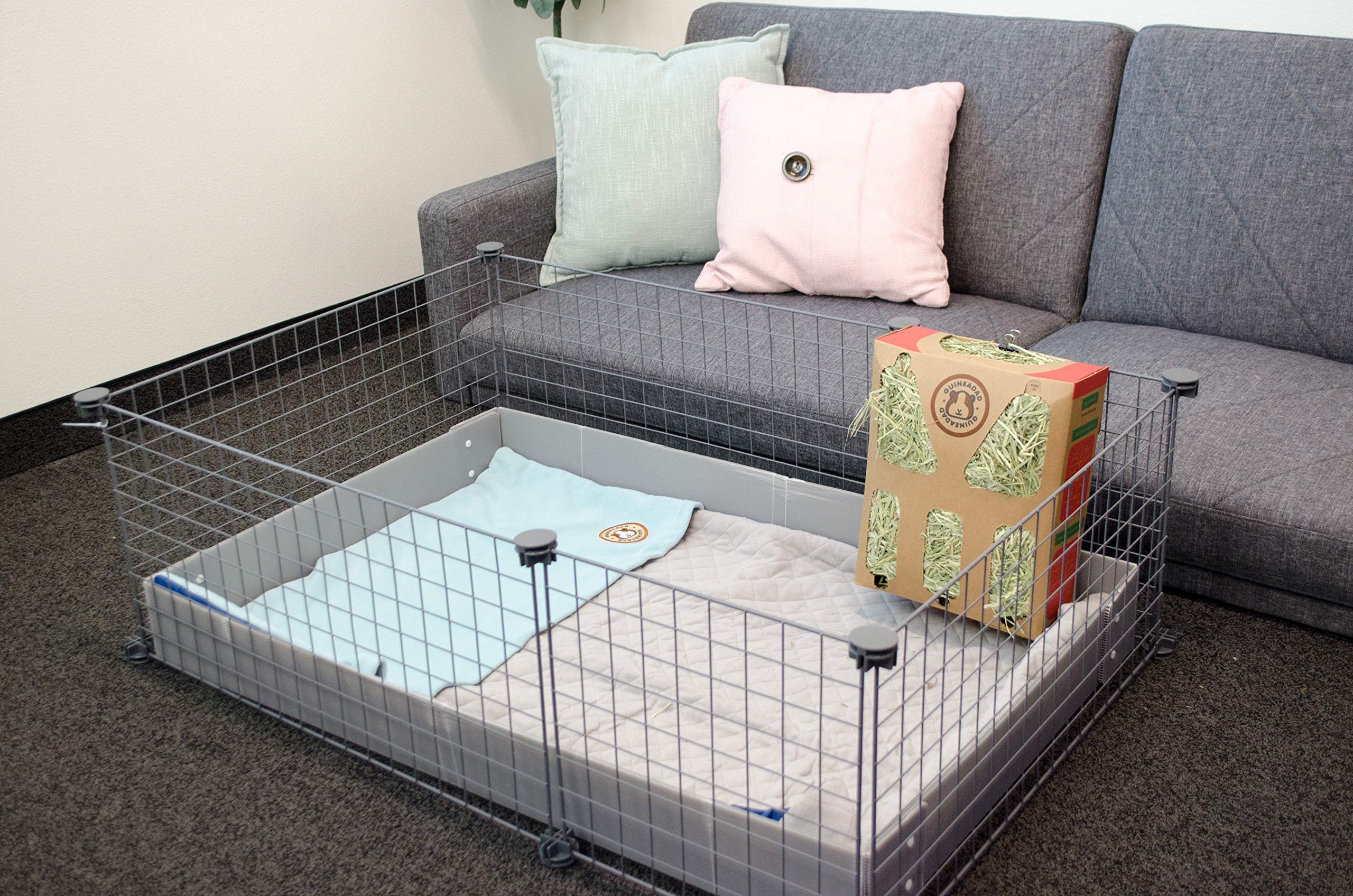 GuineaDad liner washable and reusable—economical and eco-friendly care