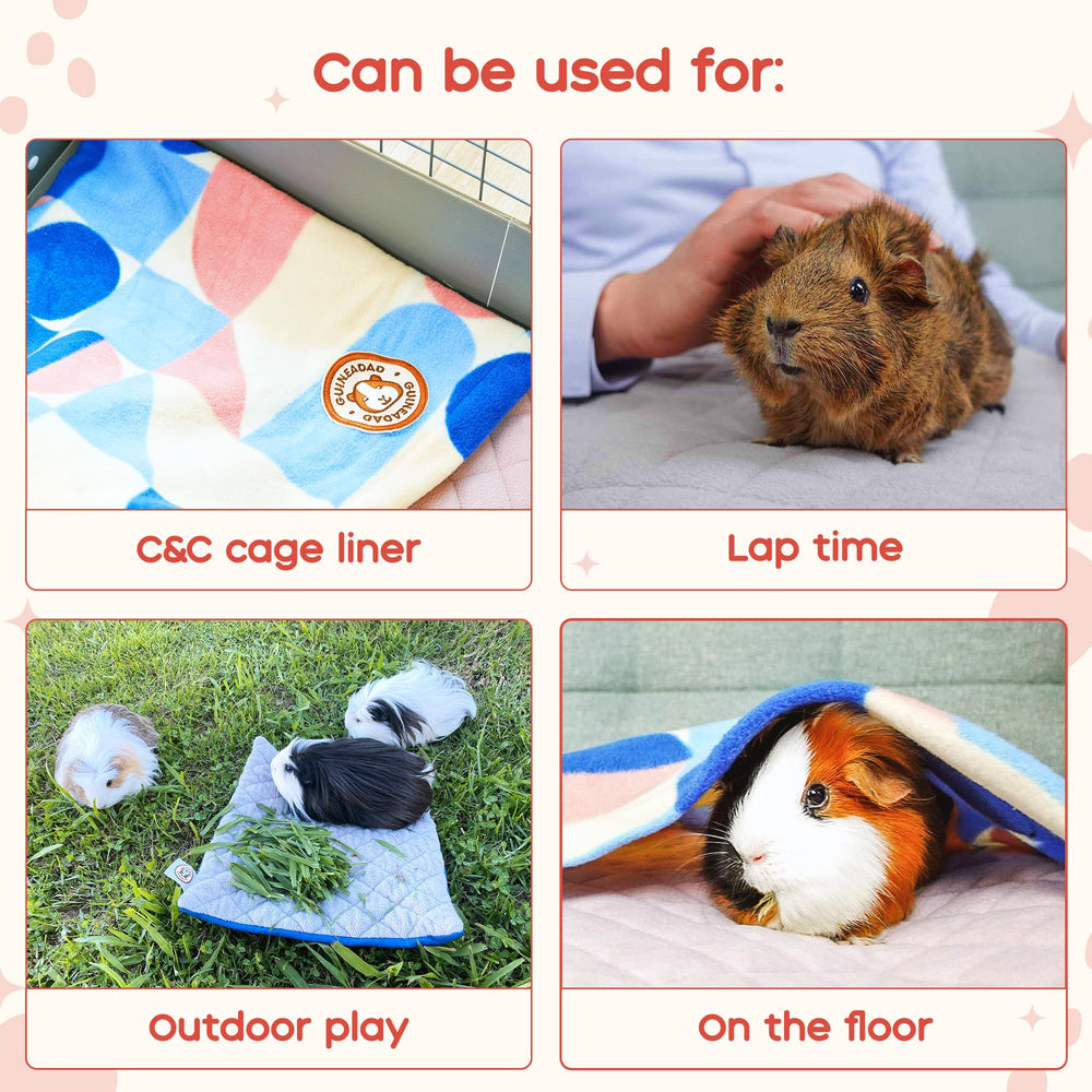 GuineaDad Premium Liner blush in carrier demonstrates versatile, worry-free transport and comfort.