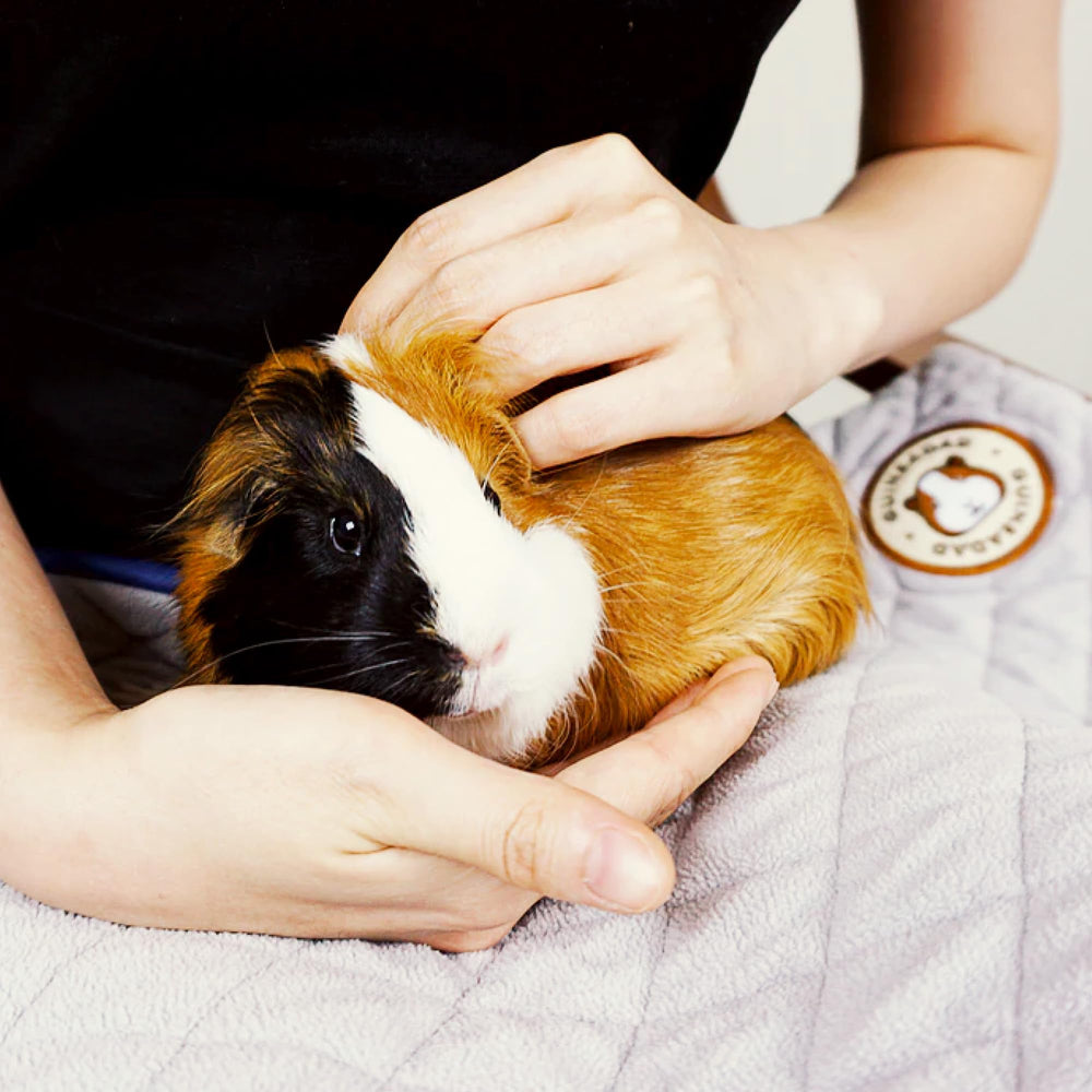 GuineaDad sustainable pet cage mat keeps surfaces drier during playtime.