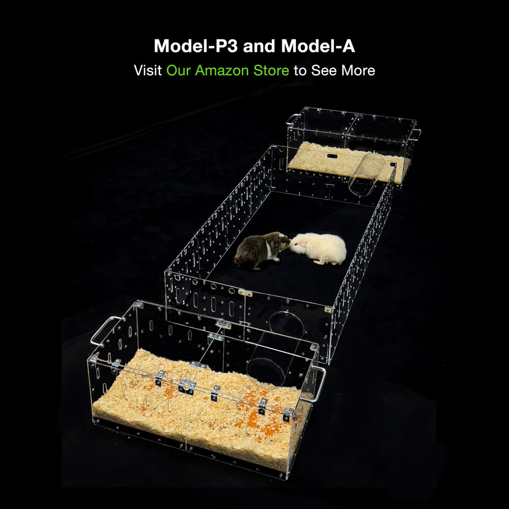 GuineaLoft Model-P3 acrylic walls keep bedding contained and surroundings tidy.