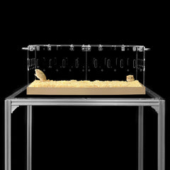 GuineaLoft Model-P3 front view shows escape-proof acrylic cage design for small pets.
