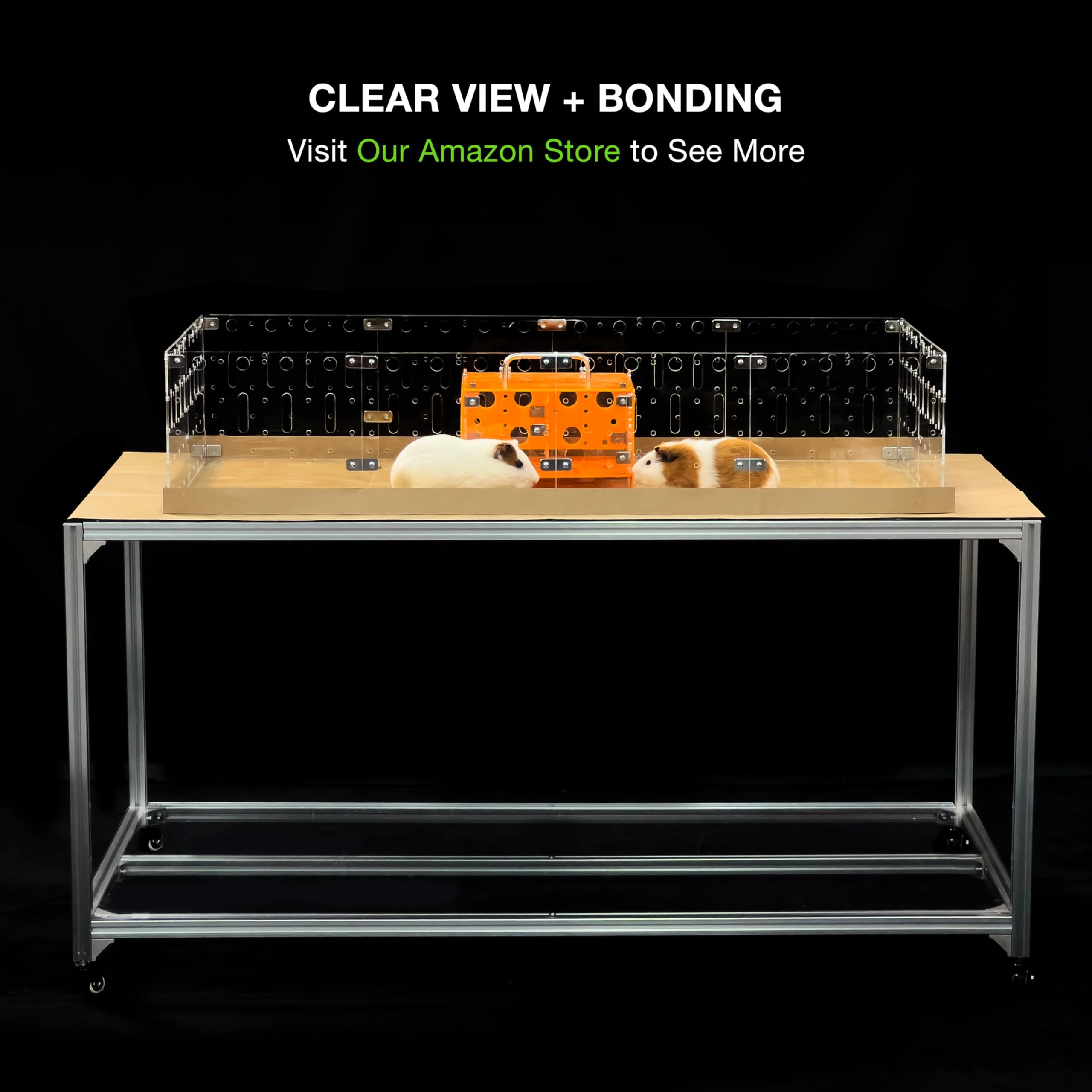 GuineaLoft Model-A clear view enables better bonding and monitoring during playtime