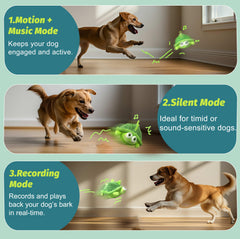GUKCO Turtle bouncing ball action captures dogs' attention for active play.