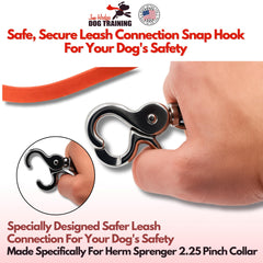 Gummy K9 Biothane leash with stainless clip ensures secure connection during walks.