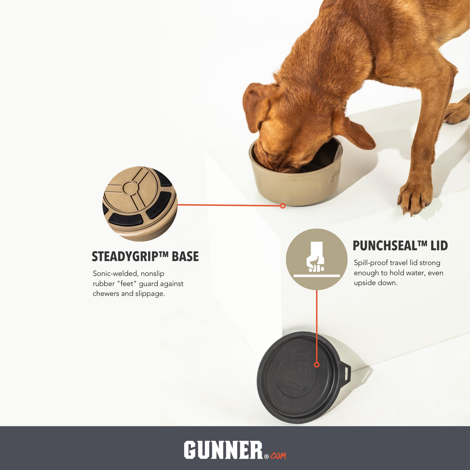 GUNNER dog bowl BPA-free design supports healthy pet feeding.