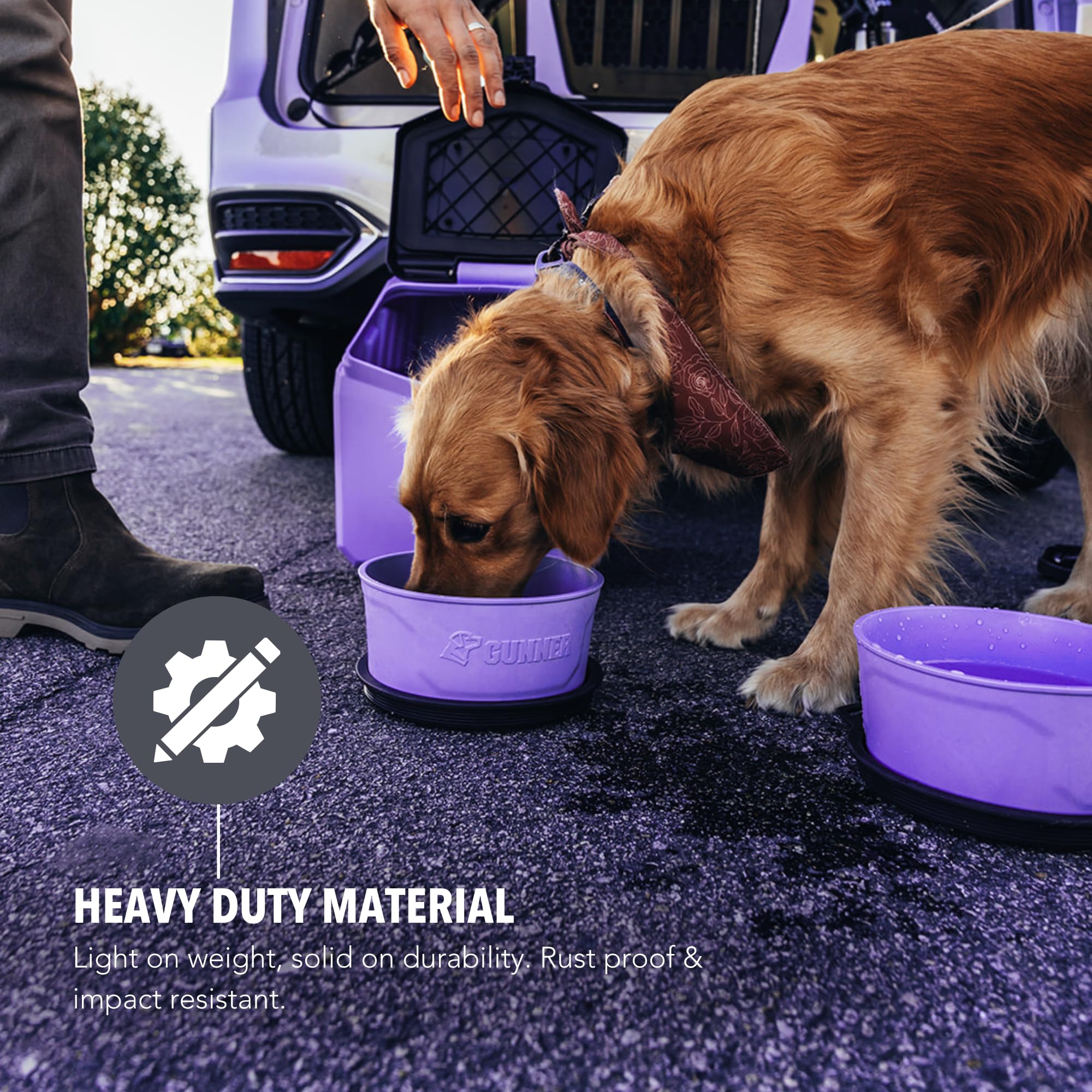 GUNNER dog bowl lavender color adds stylish kitchen or travel aesthetic