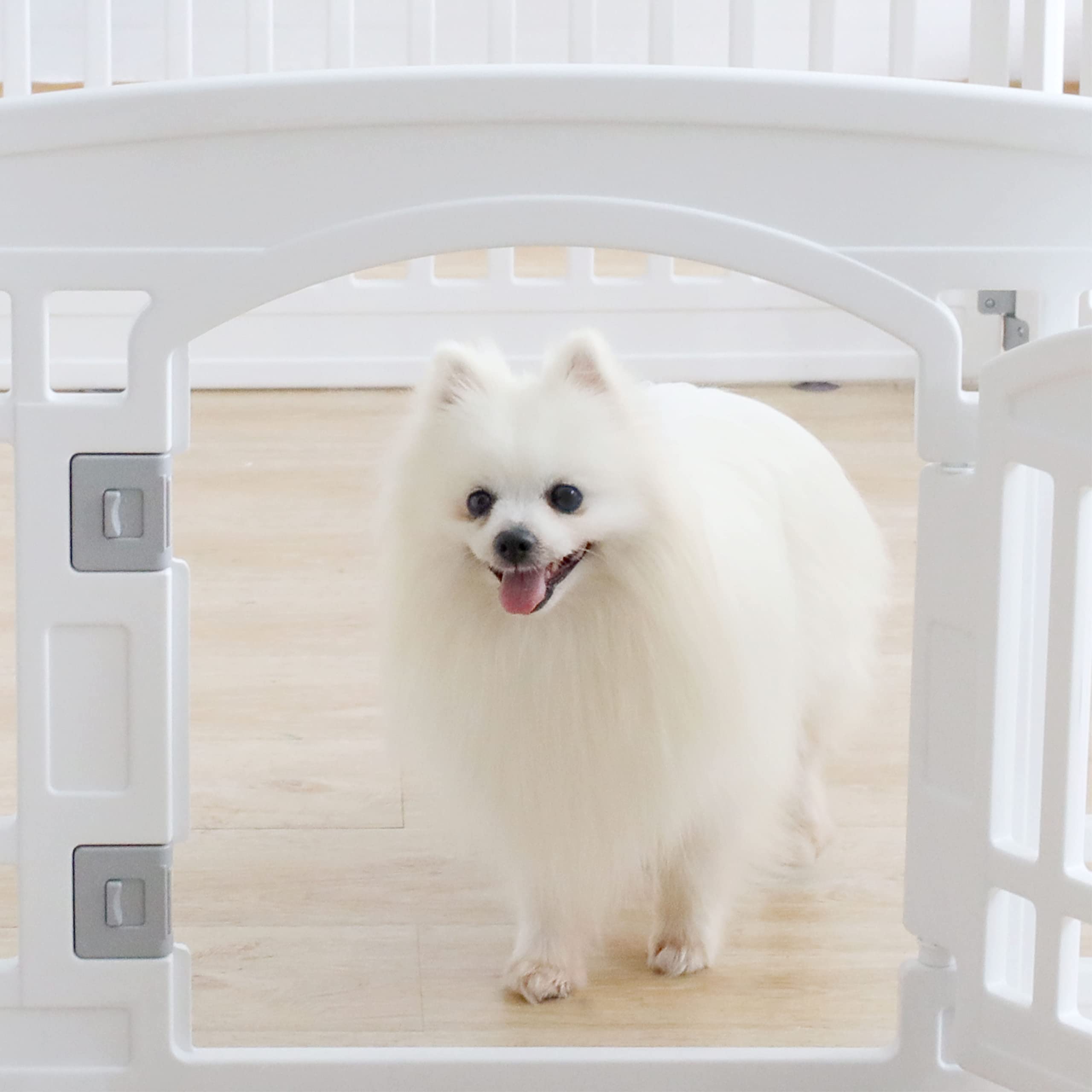 Gupamiga dog fence suction cups provide stability on tile floors during playtime.