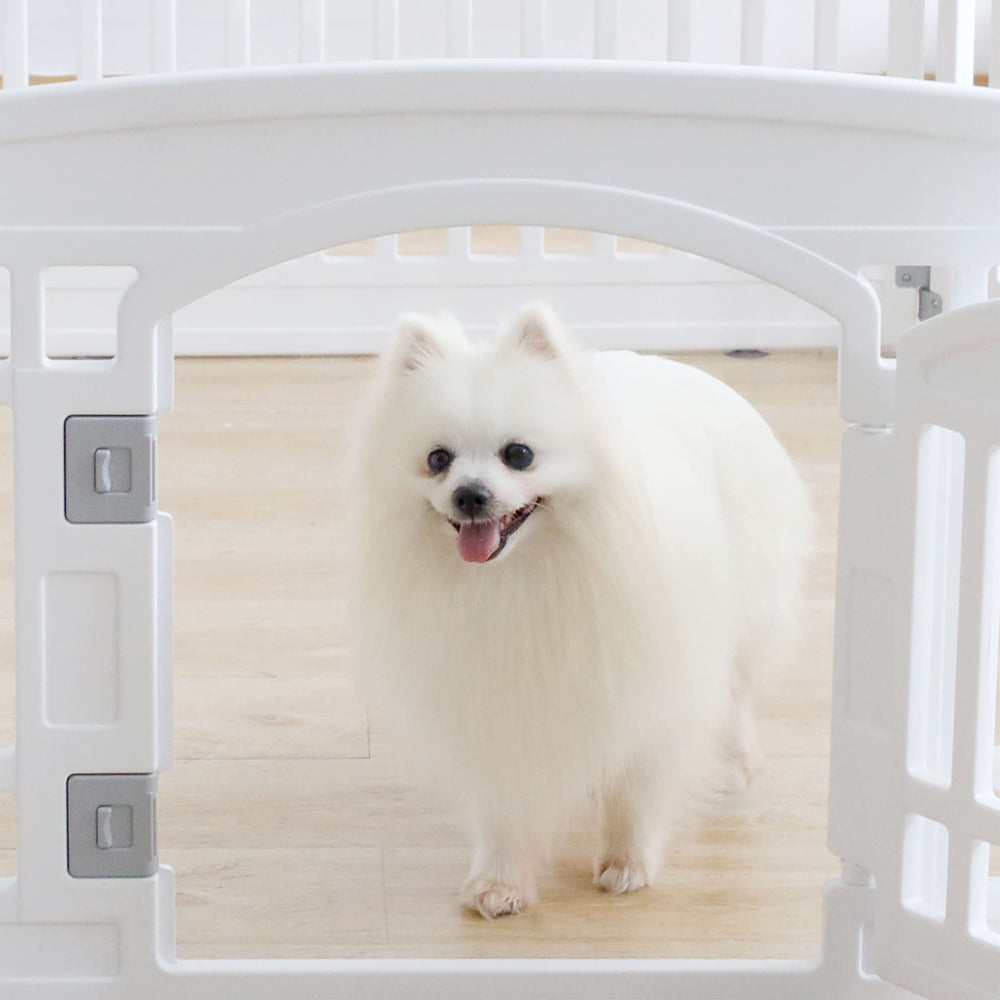 Gupamiga dog fence suction cups provide stability on tile floors during playtime.