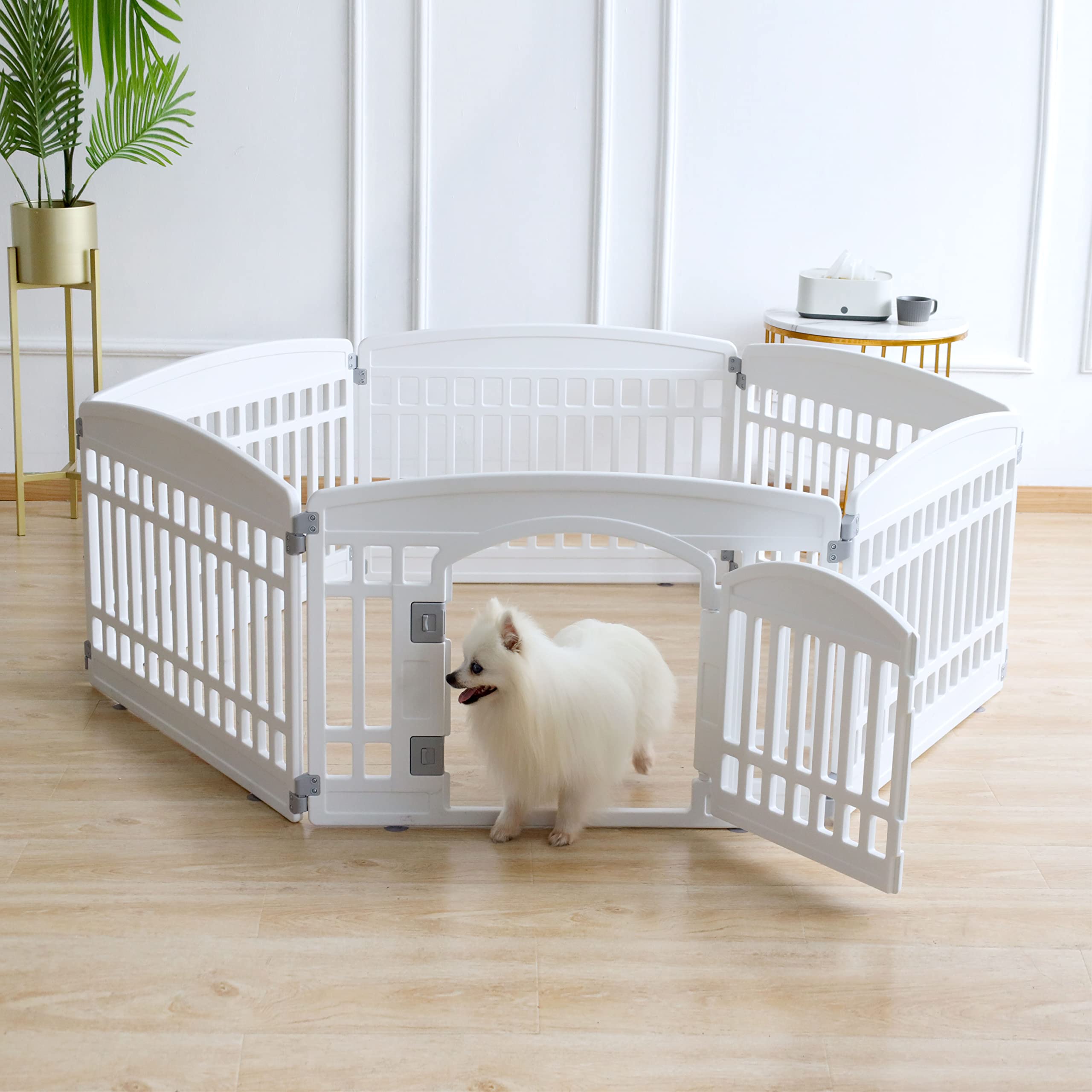Gupamiga pet playpen indoor outdoor-use demonstrates versatile containment on smooth surfaces for small pets.