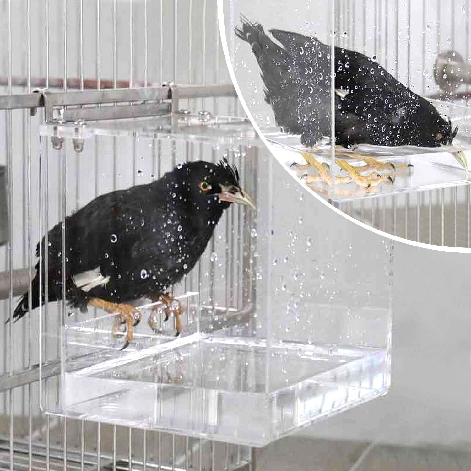GURECOD Hanging Bird Bath Cube large transparent acrylic detail highlights non-toxic, safe materials.