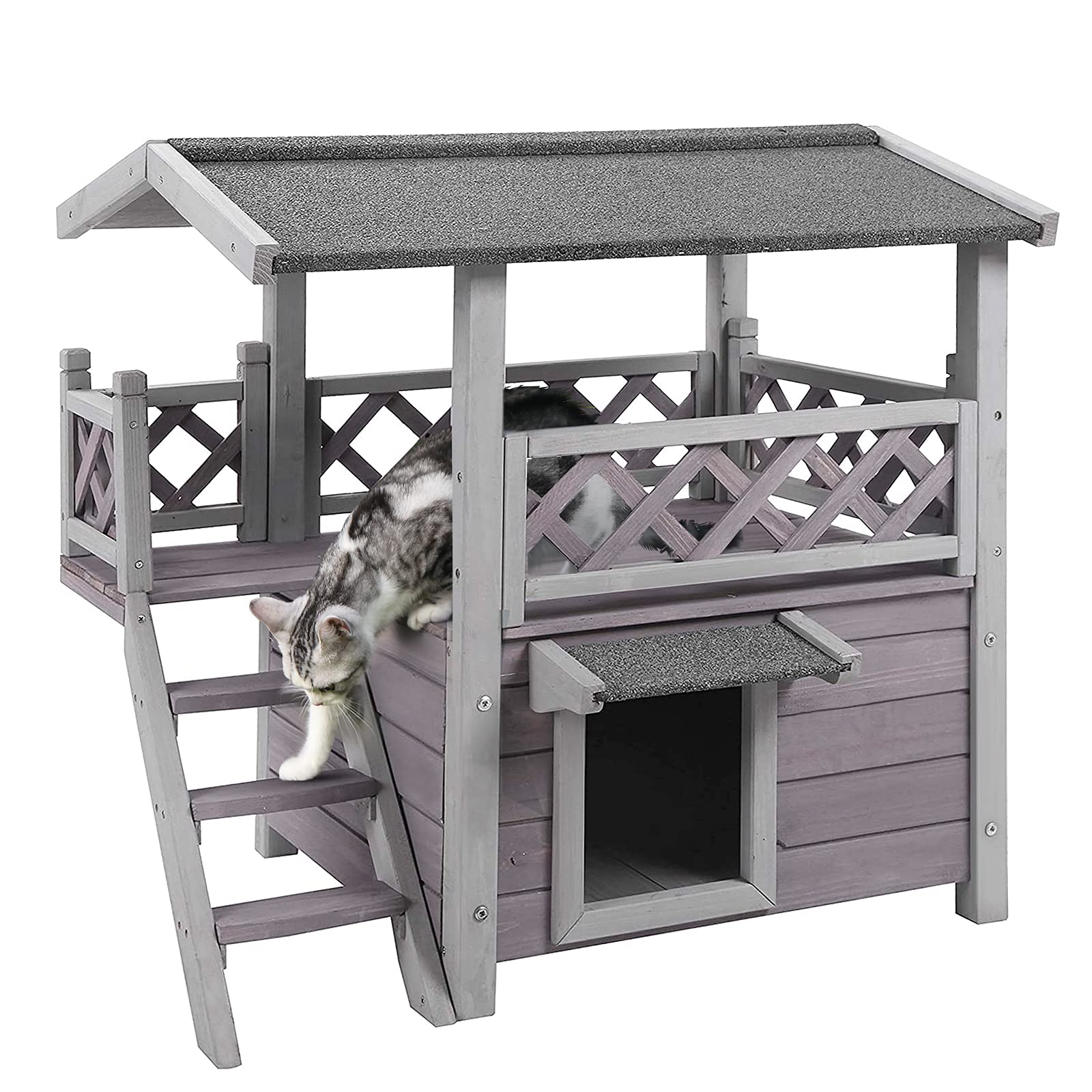 GUTINNEEN cat house front view—weatherproof shelter for feral cats.