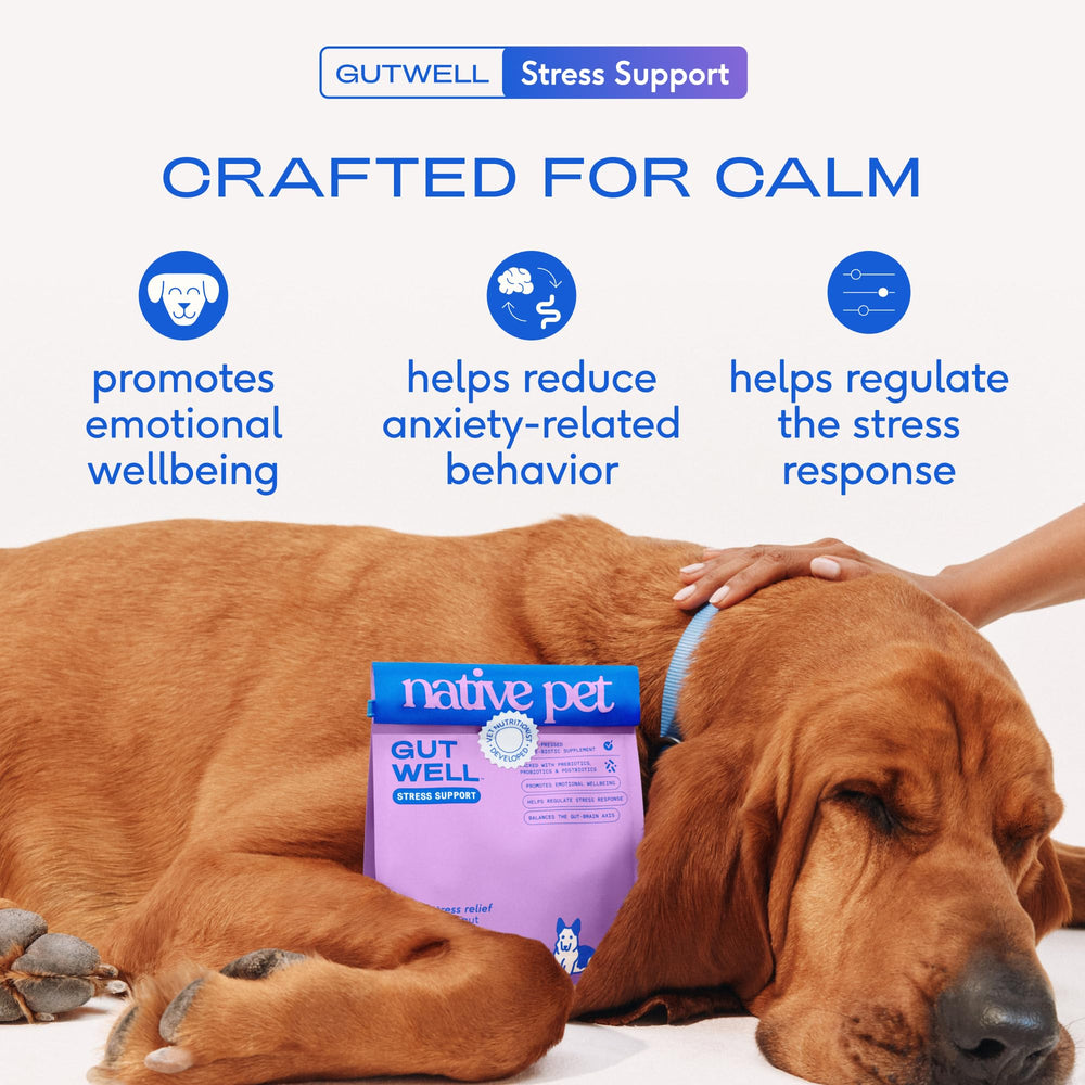Native Pet GutWell dog-chew calming treat close-up for anxiety relief.