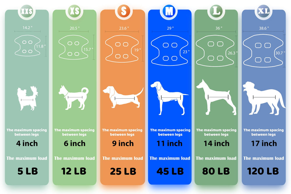 Guzekier at-home grooming session enables efficient eye and ear care.