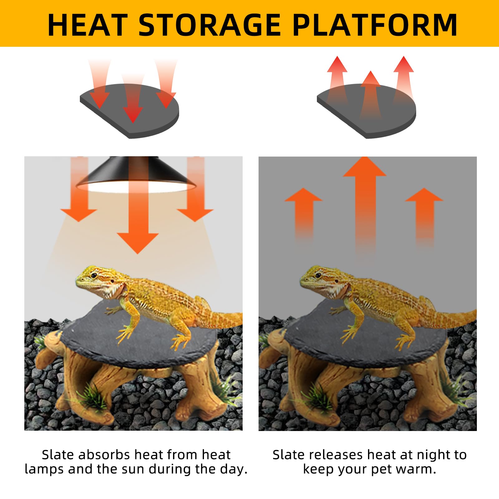 GXSDJ platform cave entry provides moist hiding area in tank.