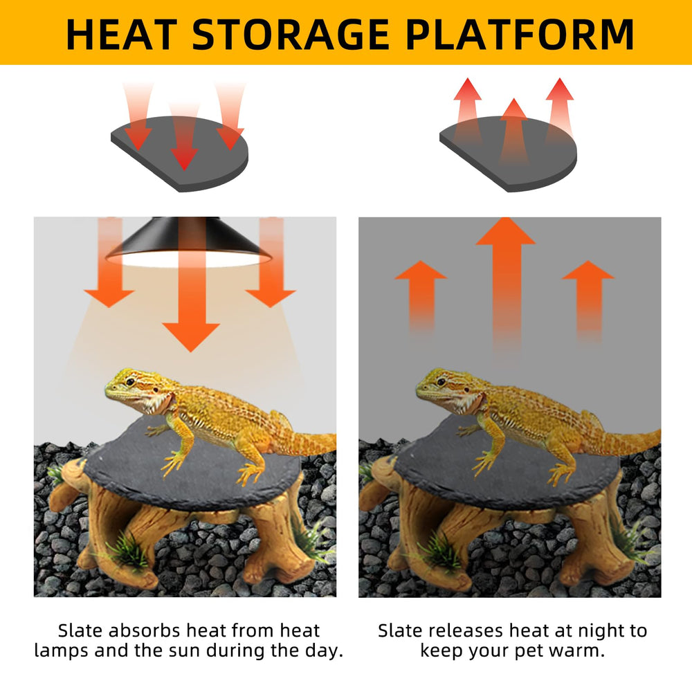 GXSDJ platform cave entry provides moist hiding area in tank.