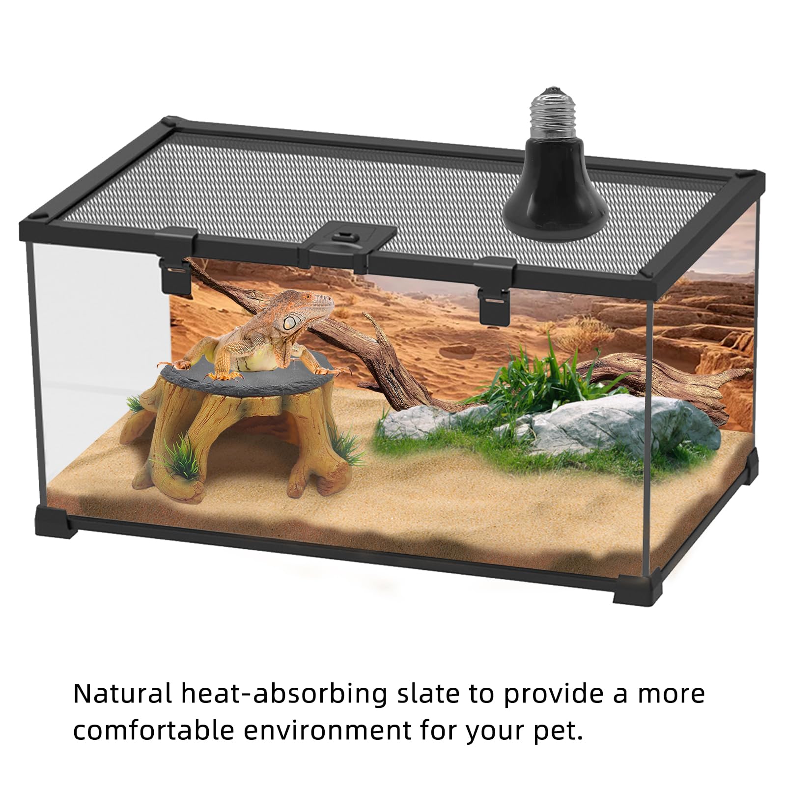GXSDJ platform in reptile tank supports basking, hiding, and exploration.