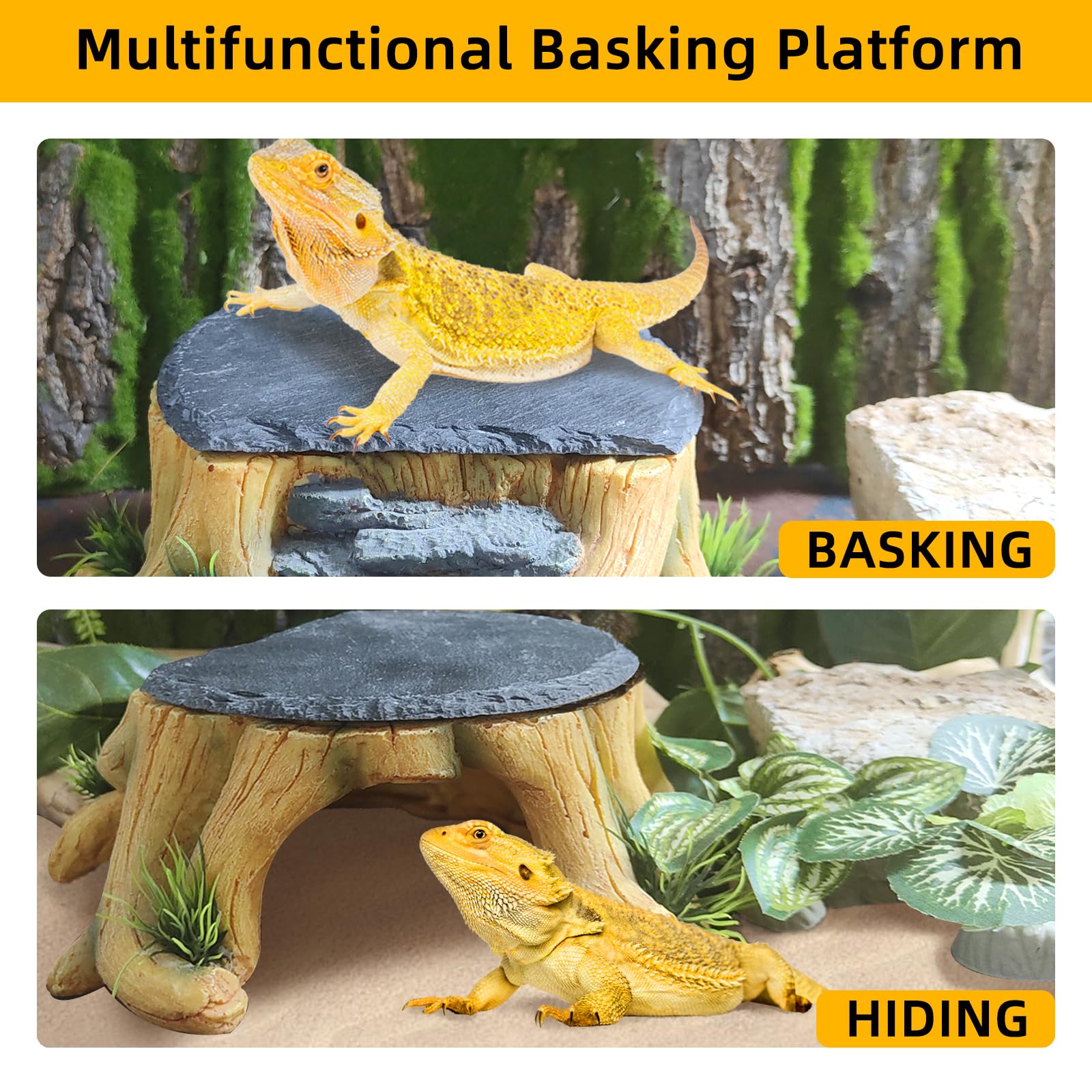 GXSDJ platform slate texture and natural rock finish enhances habitat realism.