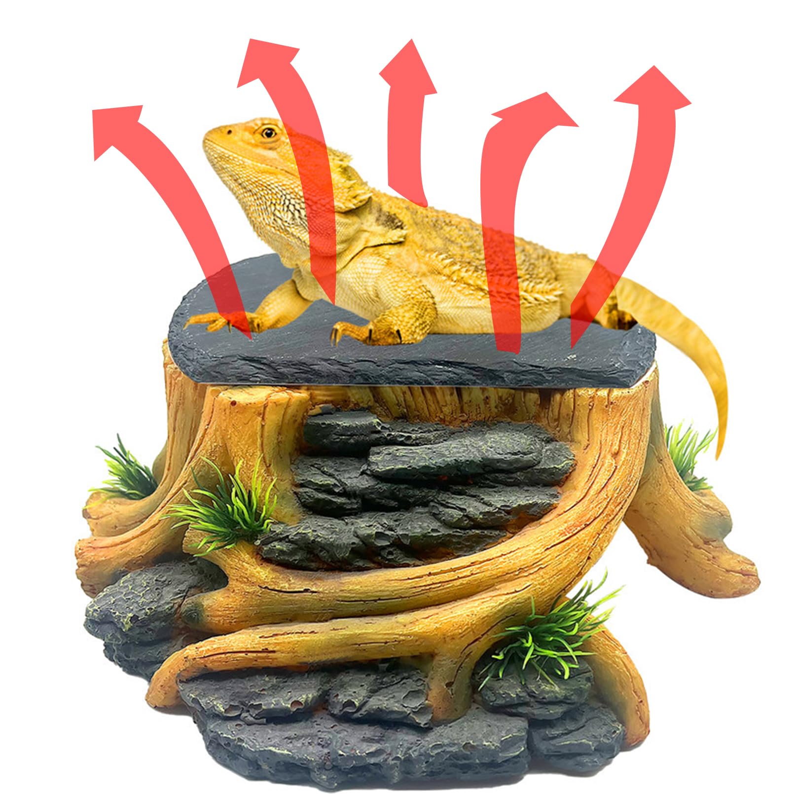 GXSDJ Bearded Dragon Basking Platform top view with heat storage slate.