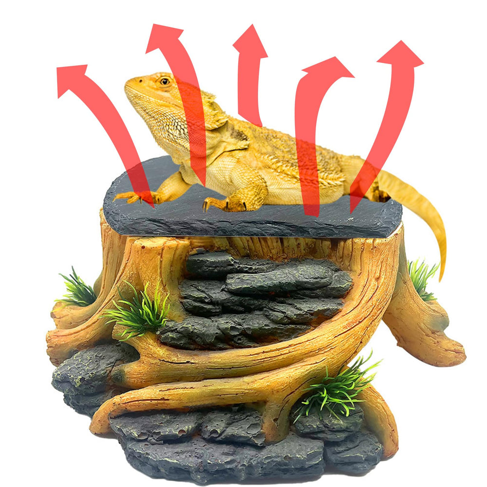 GXSDJ Bearded Dragon Basking Platform top view with heat storage slate.