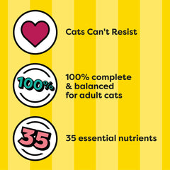 GYCO nutrition with 35 vitamins minerals amino acids supports daily wellness.