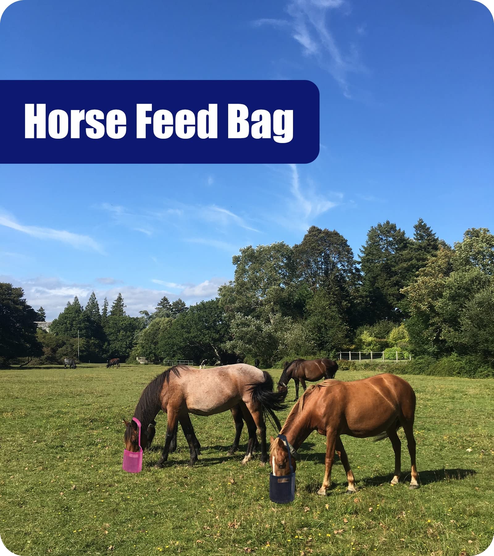 Gydoty feed bag showing adjustable strap and comfort neck pad for secure fit