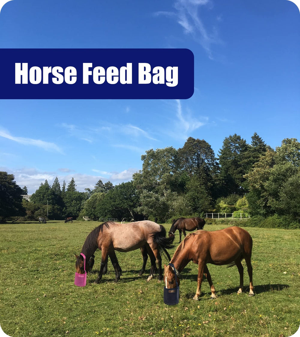 Gydoty feed bag showing adjustable strap and comfort neck pad for secure fit