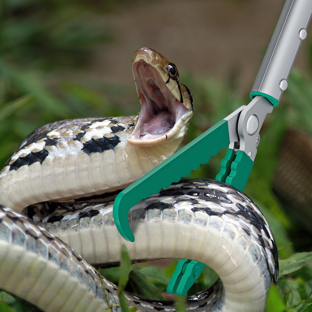 GYORGKSHI portable tool for camping and pet reptile care